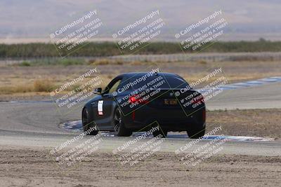 media/Oct-04-2025-OnGrid (Sat) [[44bd565ffa]]/Pink Group/Grapevine/